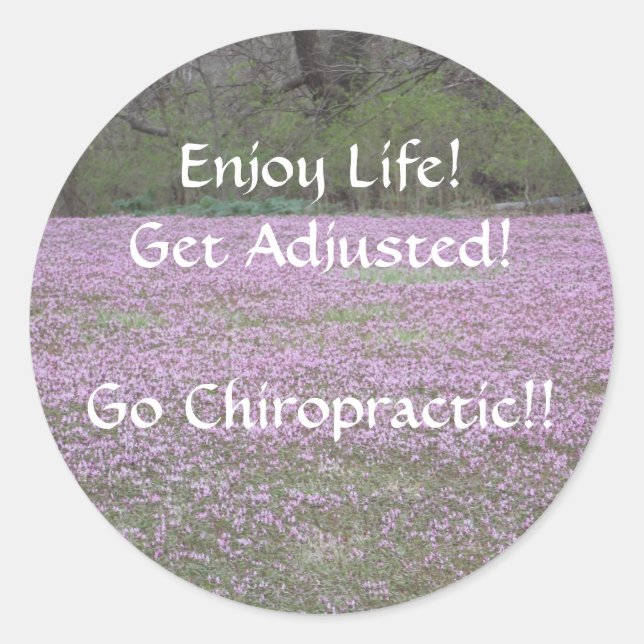 Chiropractic Stickers (Front)