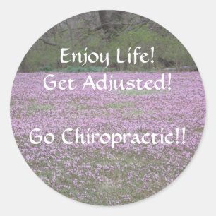 Chiropractic Stickers
