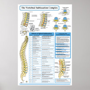 Chiropractic Vertebral Subluxation Complex Poster