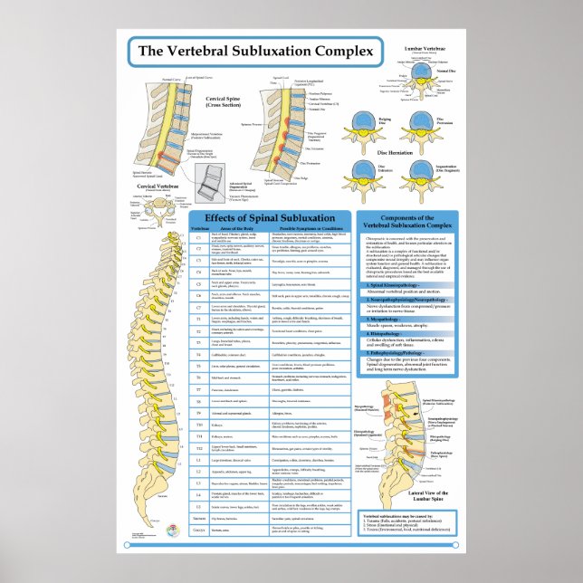 Chiropractic Vertebral Subluxation Complex Poster (Front)