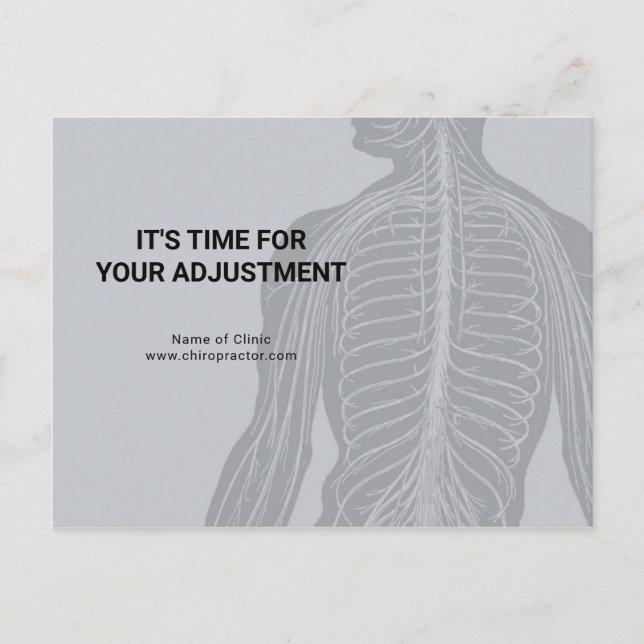 Chiropractor Appointment Reminder Modern Anatomy Postcard (Front)
