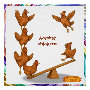 Chirpy Chickens acrobat squad Poster