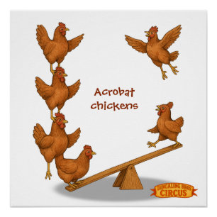 Chirpy Chickens acrobat squad Poster