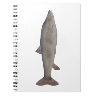 Chirruh Snowtrout Notebook