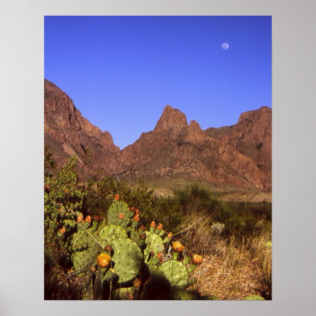 Chisos Moonrise Poster (Front)
