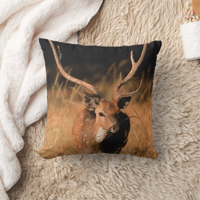 Chital Natural Habitat | Bandhavgar National Park Cushion (Blanket)