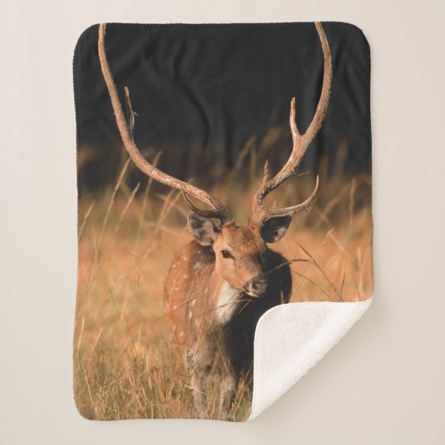 Chital Natural Habitat | Bandhavgar National Park Sherpa Blanket (Front)