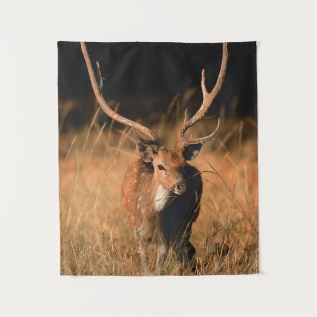 Chital Natural Habitat | Bandhavgar National Park Tapestry (Front)