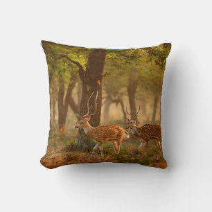 Chital or cheetal, Axis axis, spotted deers or axi Cushion
