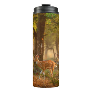 Chital or cheetal, Axis axis, spotted deers or axi Thermal Tumbler