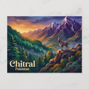 Chitral Gol National Park Pakistan Postcard