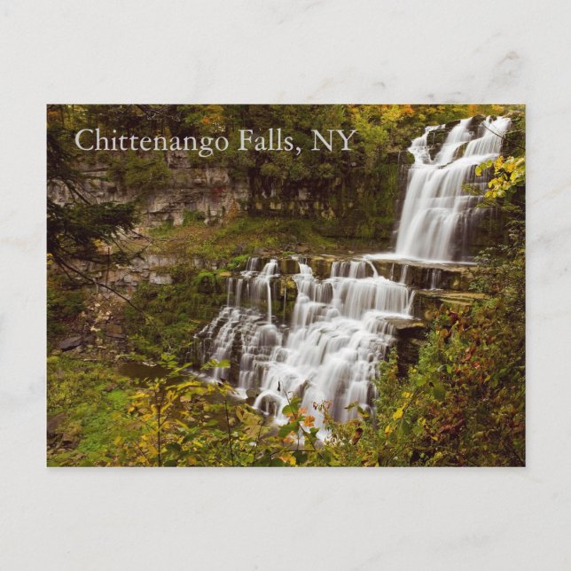 Chittenango Falls  Postcard (Front)