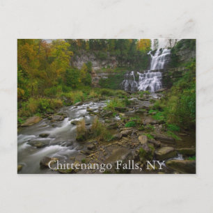 Chittenango Falls  Postcard