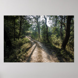 Chitwan Jungle Path: Sunlit Forest Trail Poster