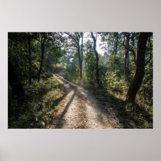 Chitwan Jungle Path: Sunlit Forest Trail  Poster