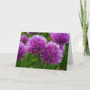Chive Flowers Thinking of You Card