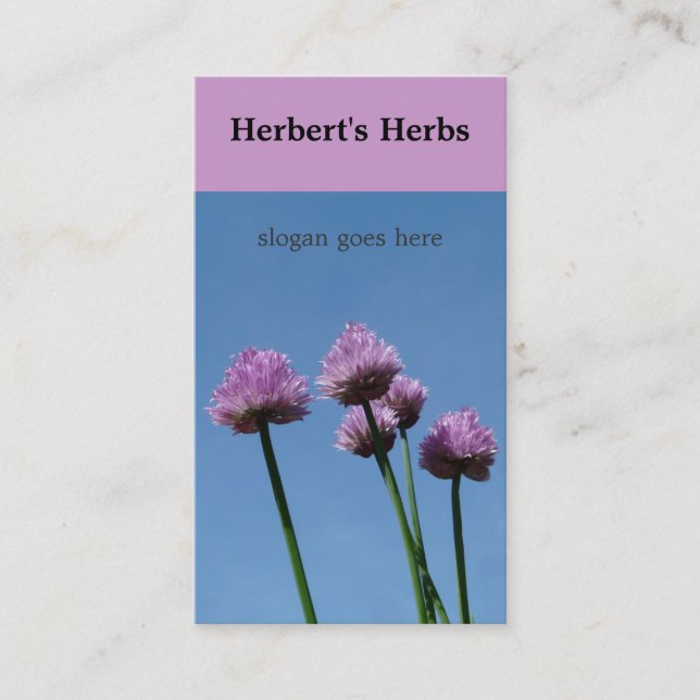 Chive Herb  Flower Bloom Business Card (Front)