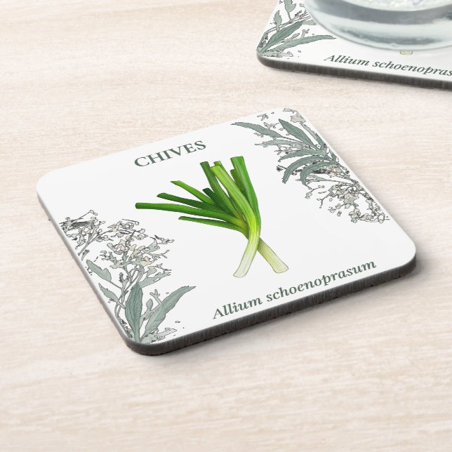 Chives - Allium schoenoprasum Coaster (Left Side)