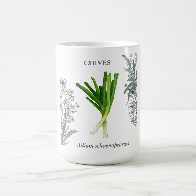 Chives — Allium schoenoprasum Coffee Mug (Center)