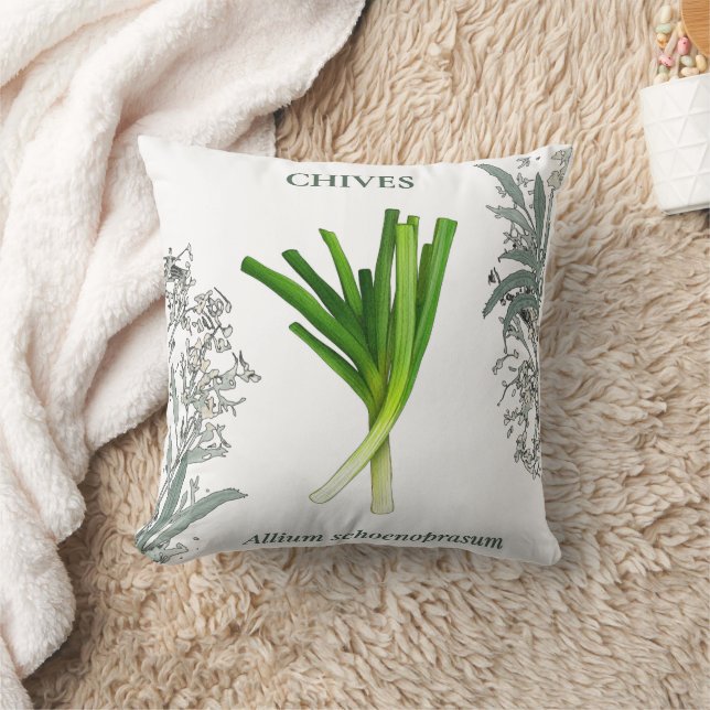Chives — Allium schoenoprasum Cushion (Blanket)
