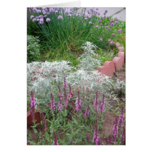 chives,artemesia & salvia