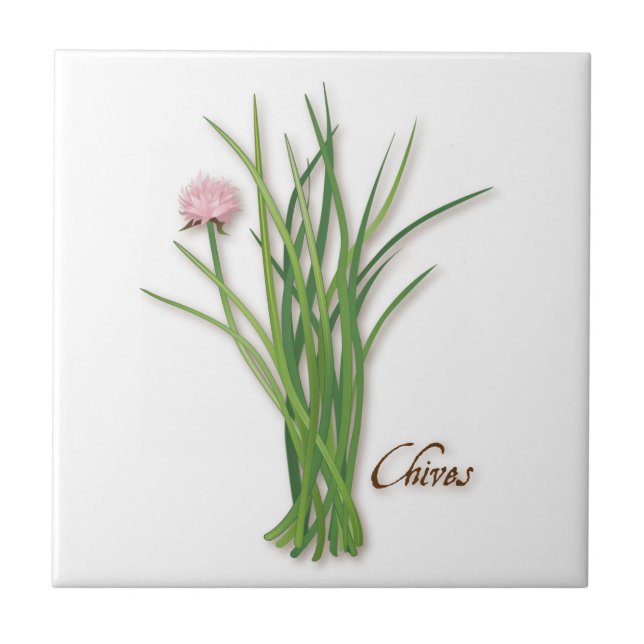 Chives Herb Ceramic Tile (Front)