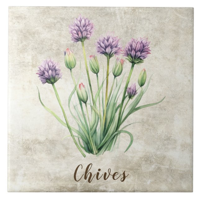 Chives Rustic Herbs Spices Faux Ceramic Tile (Front)