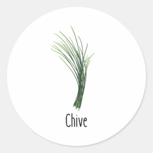 Chives Spices Herbs Classic Round Sticker