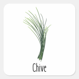 Chives Spices Herbs Square Sticker