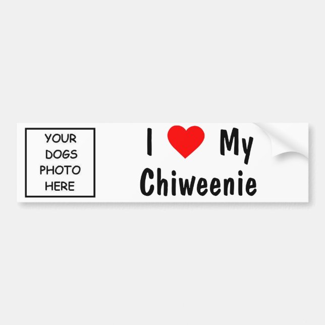 Chiweenie Bumper Sticker (Front)