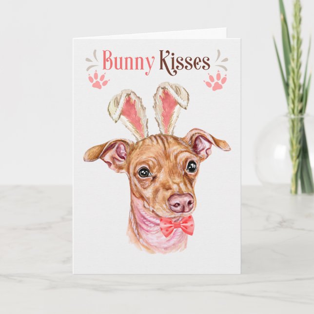 Chiweenie Dog in Bunny Ears for Easter Holiday Card (Front)
