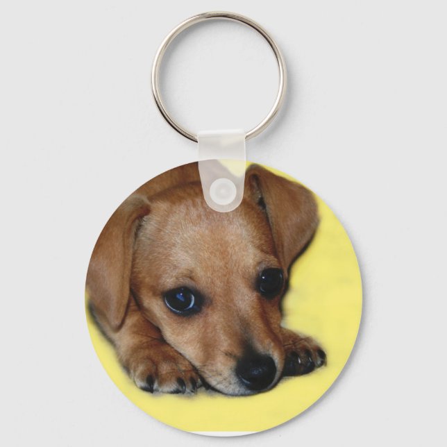 Chiweenie Puppy Keychain (Front)