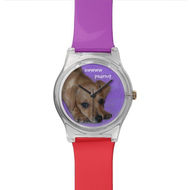 Chiweenie Puppy w/customised text May28th Watch (Close Up)
