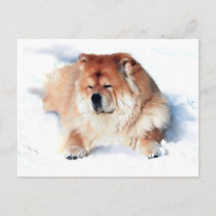 CHLOE LAYING IN THE SNOW heARTdog postcard