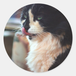 Chloe Licks Classic Round Sticker