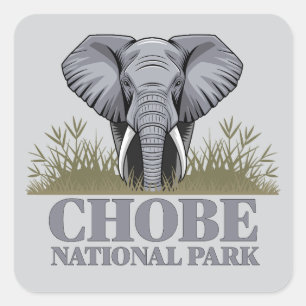 Chobe National Park Botswana Square Sticker