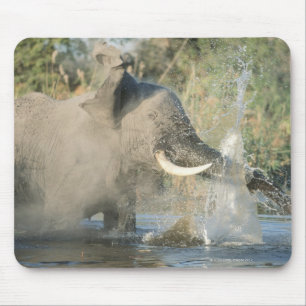 Chobe River, Botswana, Africa Mouse Pad