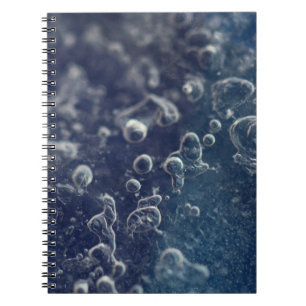 Choceradská Notebook
