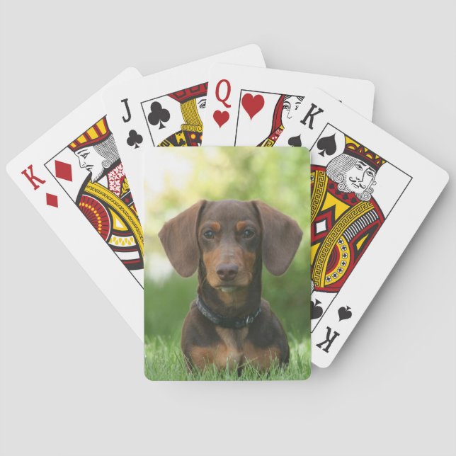 Chocolate and Tan Dachshund - Doxie Dog Playing Cards (Back)