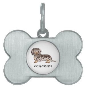 Chocolate And Tan Dapple Long Hair Dachshund Dog Pet ID Tag