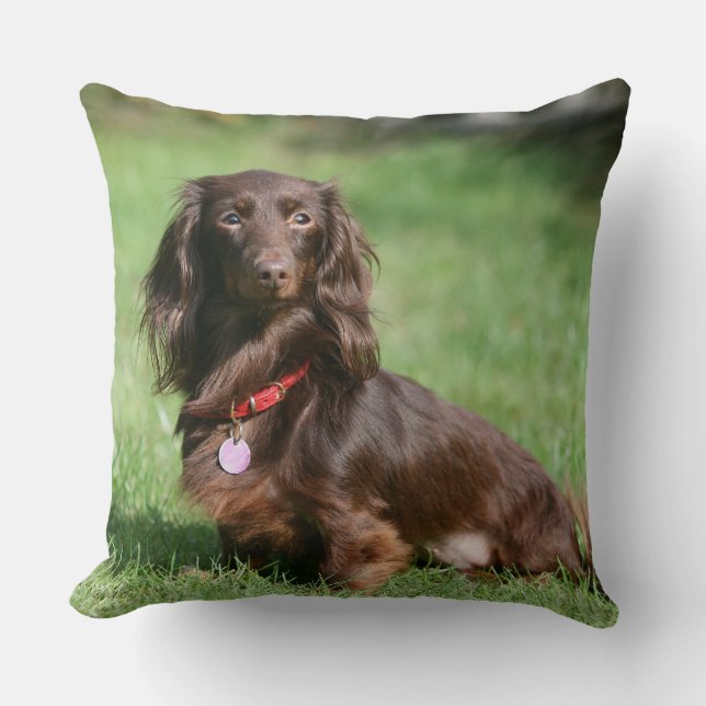 Chocolate and Tan Long-haired Miniature Dachshund Cushion (Front)
