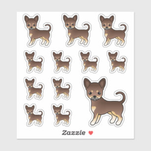 Chocolate And Tan Smooth Coat Chihuahua Cute Dogs