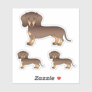 Chocolate And Tan Smooth Coat Dachshund Cute Dog
