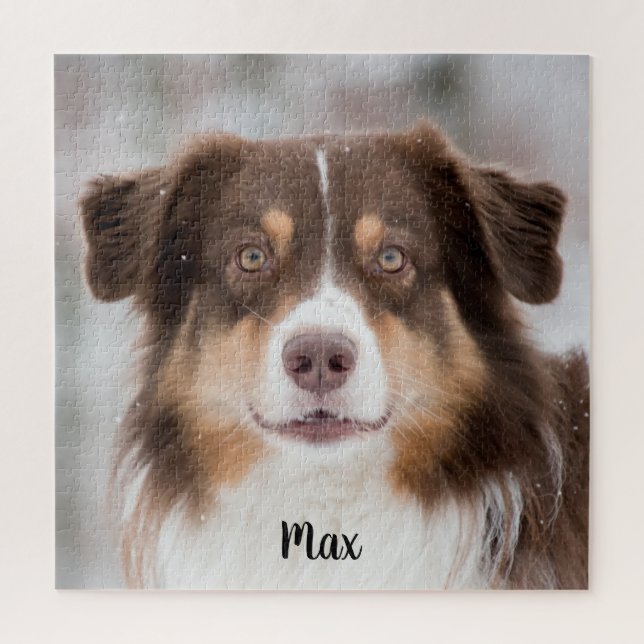 Chocolate Australian Shepherd Puppy Dog Jigsaw Puzzle (Vertical)