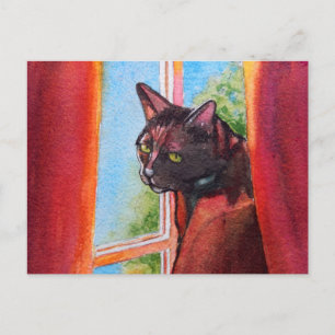 Chocolate Black Cat with Curtains Postcard