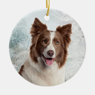 Chocolate Border Collie Ornament