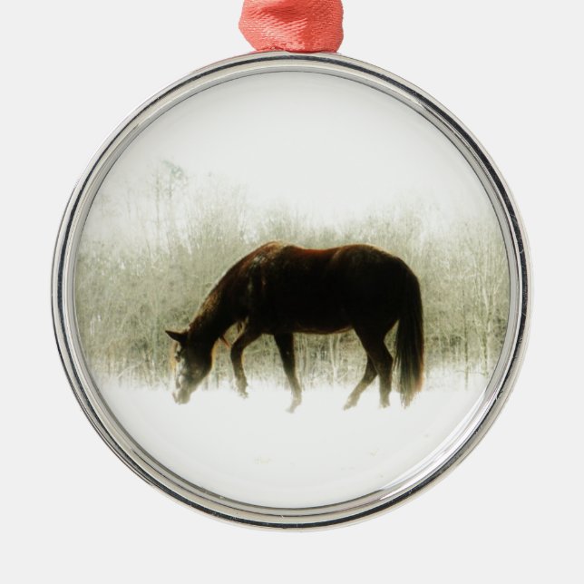 Chocolate Brown horse in the fog Metal Ornament (Front)