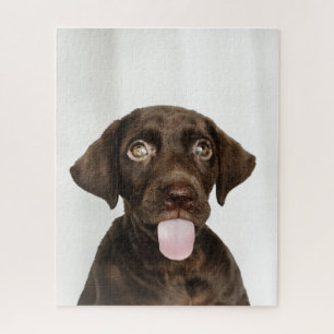 Chocolate Brown Lab Puppy Jigsaw Puzzle