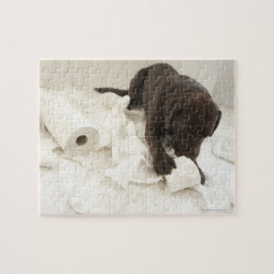 Chocolate brown labrador. jigsaw puzzle