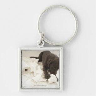 Chocolate brown labrador. key ring